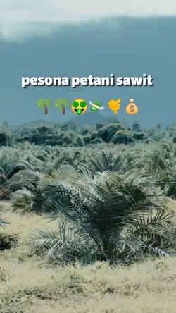 pesona petani sawit 