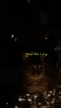 غريب ال مخلص||خيبه