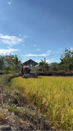 taufiksinusi 