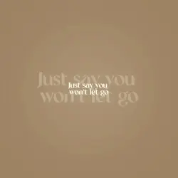 Say You Won’t Let Go