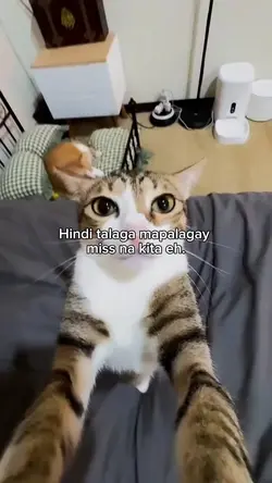 Hindi talaga mapalag