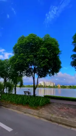 tua nhanh video