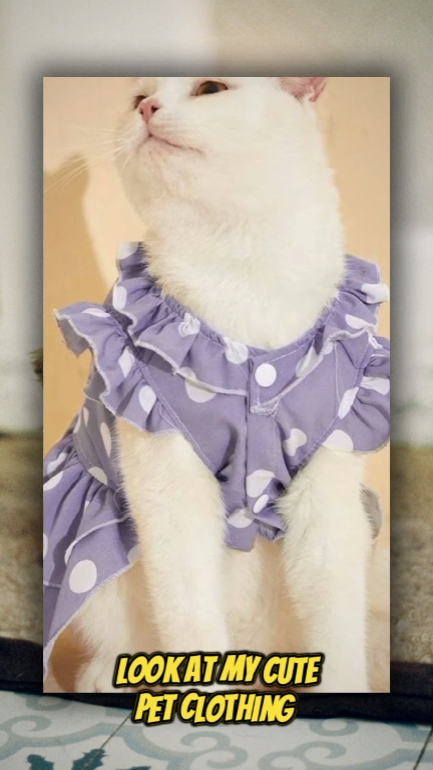 Clothing Pet Library Open Task 