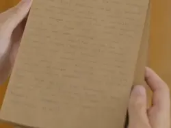 teoden hayali senryo