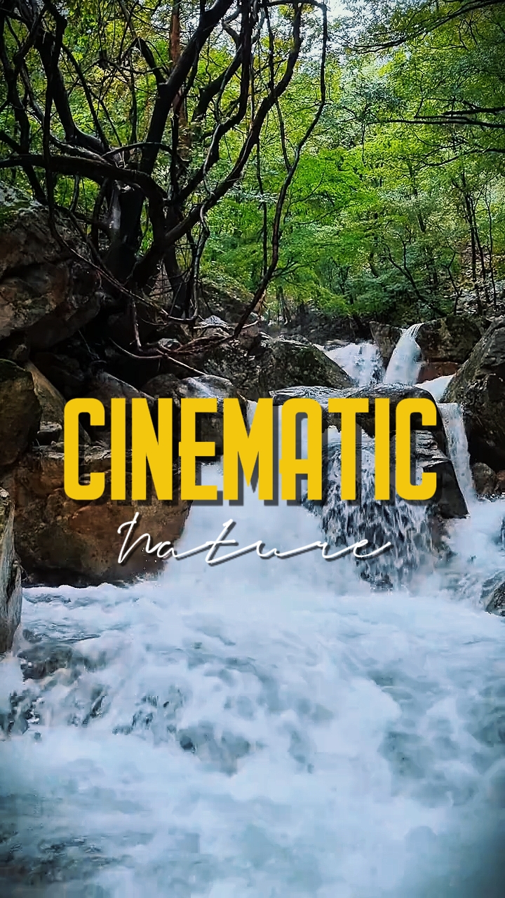 CINEMATIC NATURE 