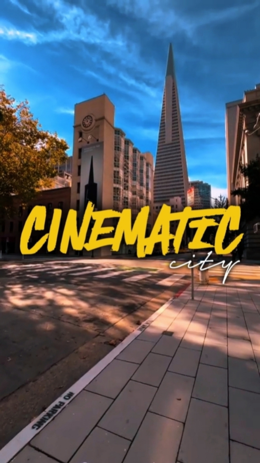 CINEMATIC CITY 