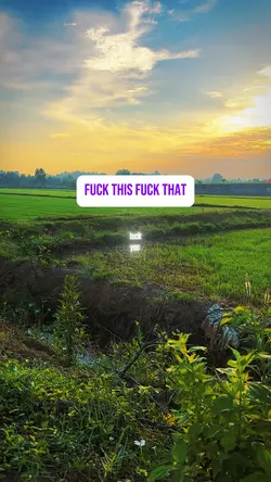 fuck this fuck that