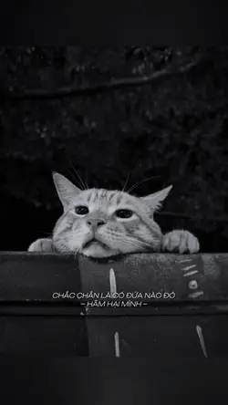 Làm quần quật cả năm