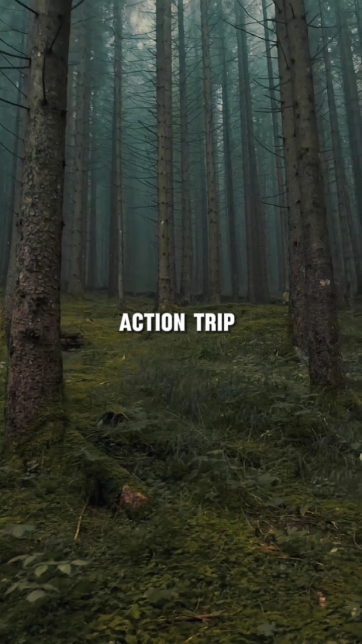 Viaje de acción