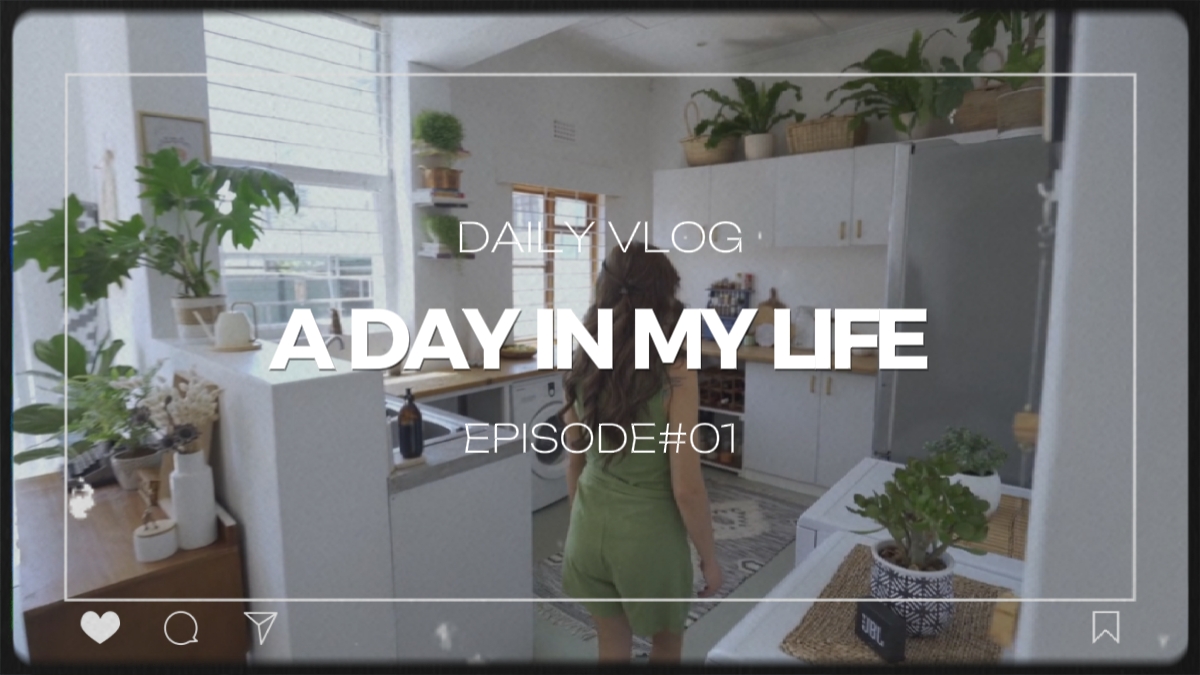 intro dayli