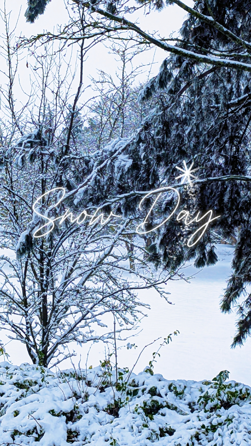 Día De Nieve
