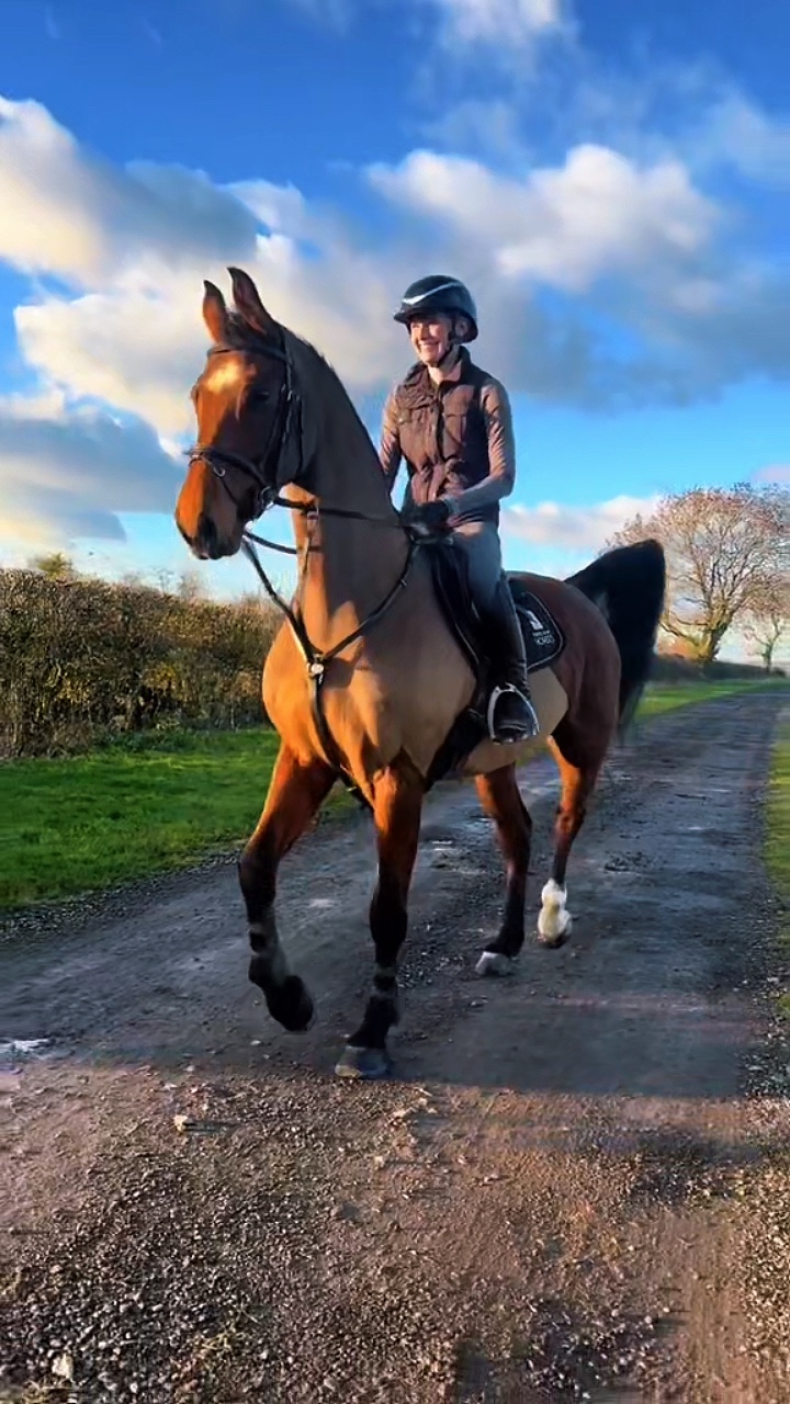 Cavalo 