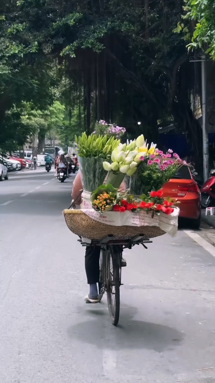 vlog aesthetic
