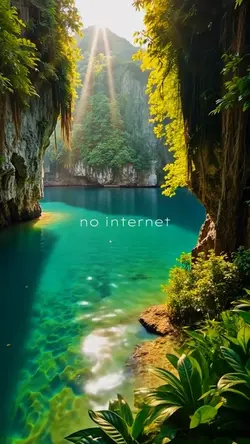 No internet travel