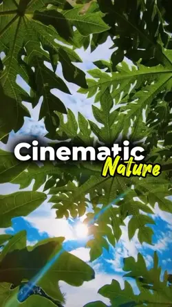 cinematic nature 