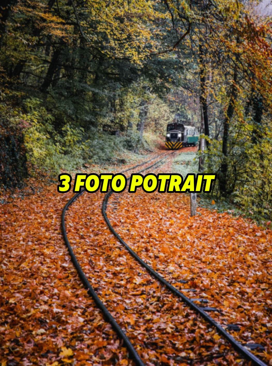 potret foto 3