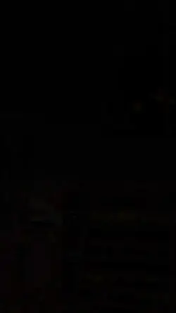 Vlog