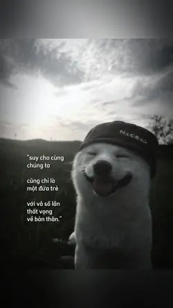 CamVanDyy