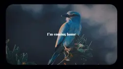 Iam coming home