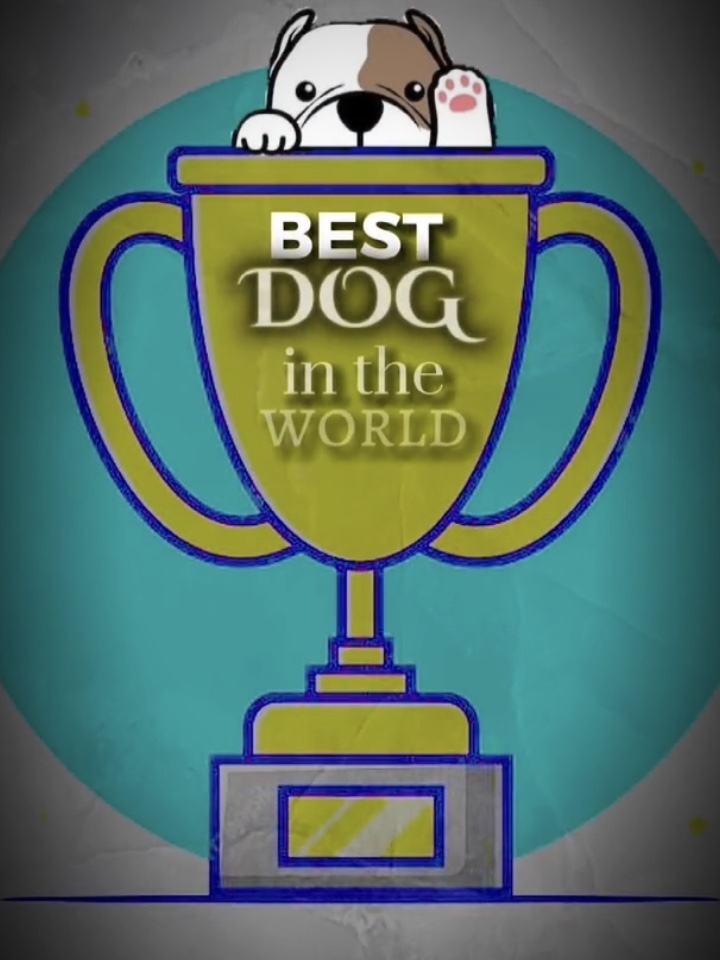 Meilleur chien