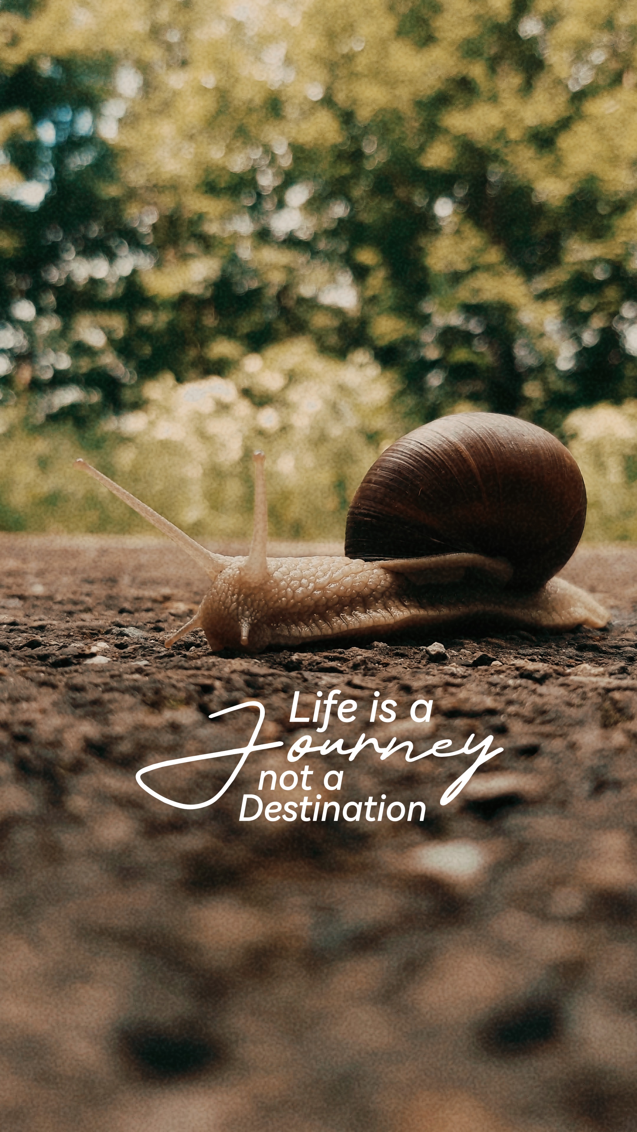 LIFE IS A JOURNEY ✦