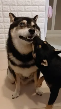 ずっと仲良し