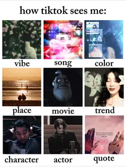 HOW TIKTOK SEES ME