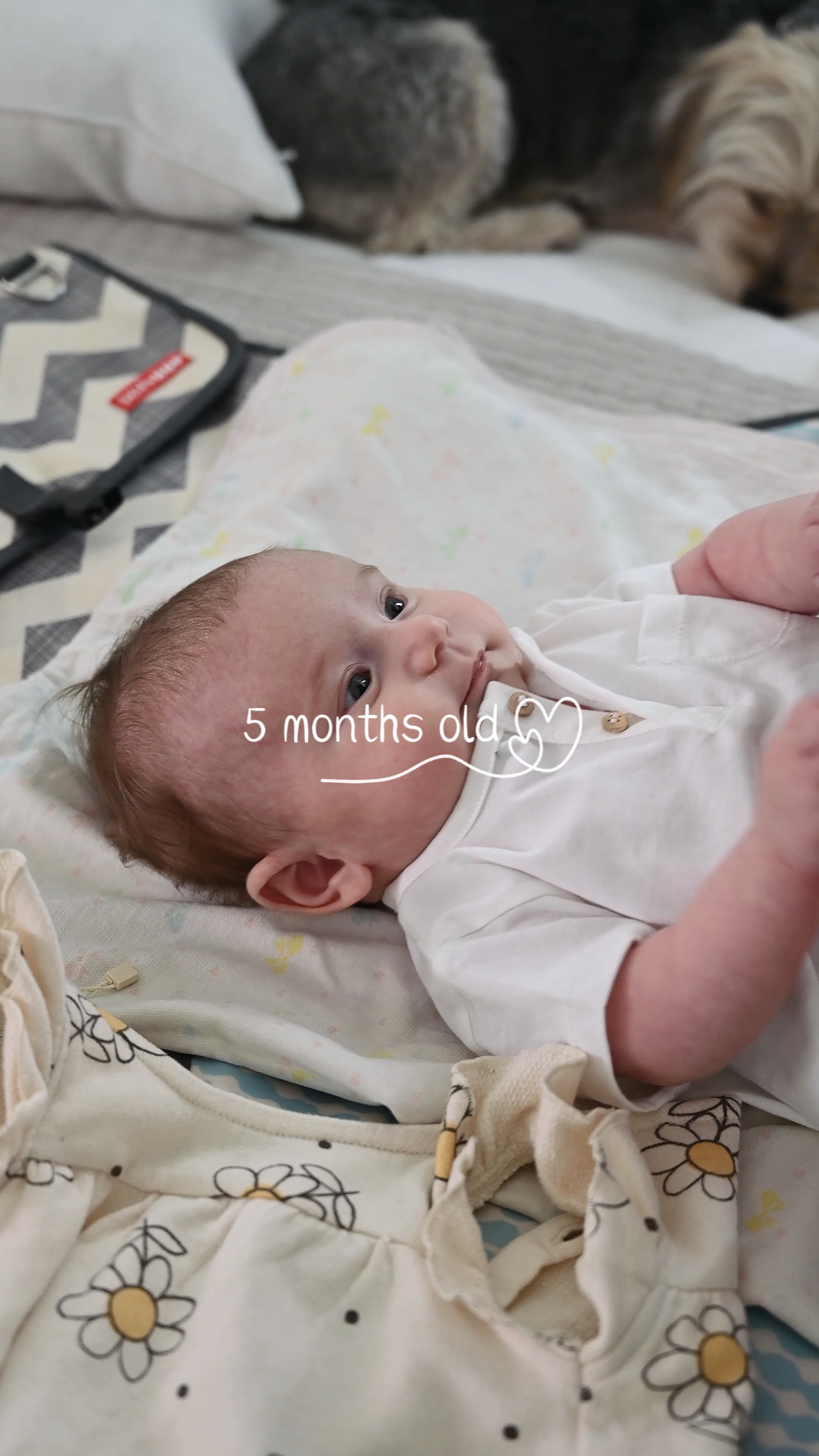5 meses de edad 