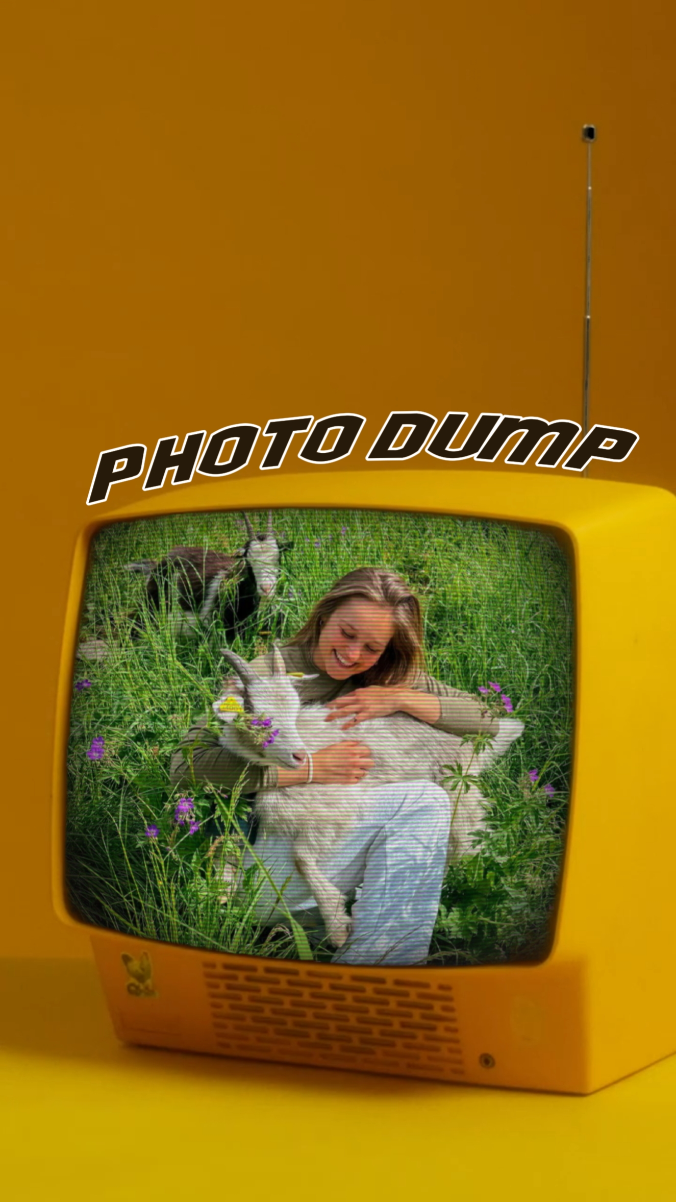 photo dump