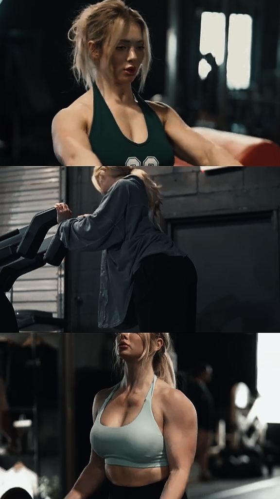 gym pro 13clip