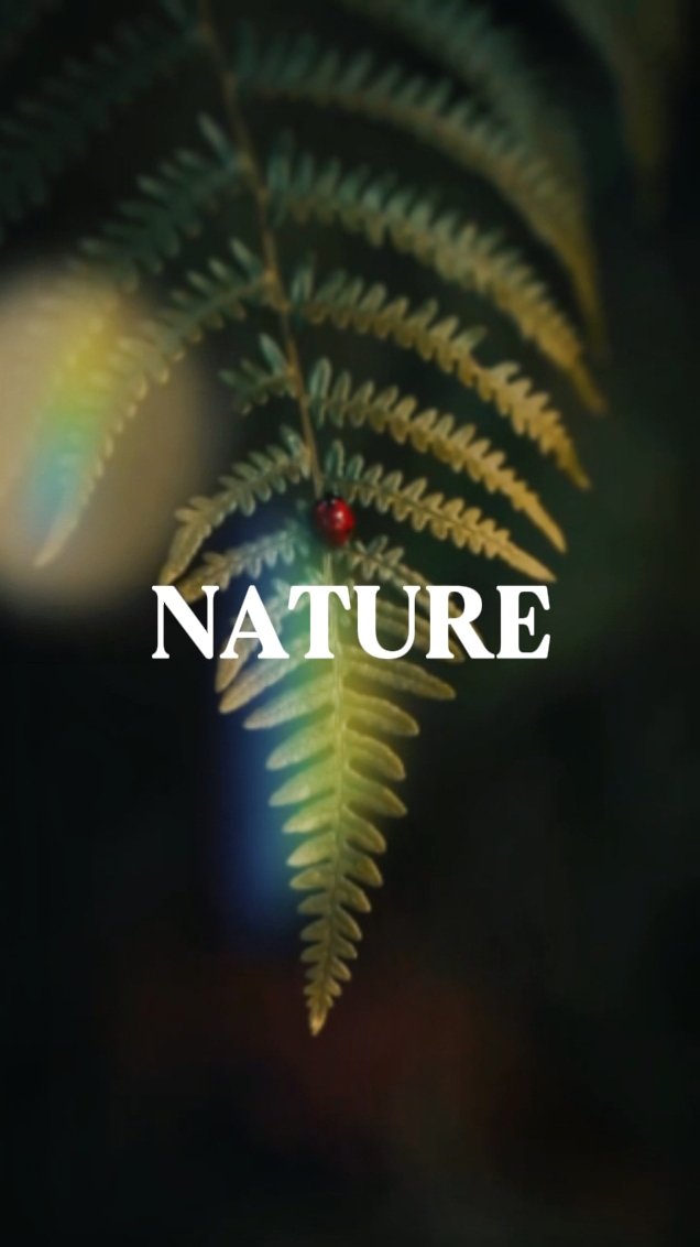 NATURALEZA 