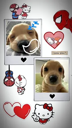 [2] cute