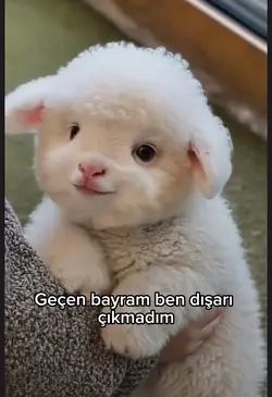 Bayram şekeri 😅