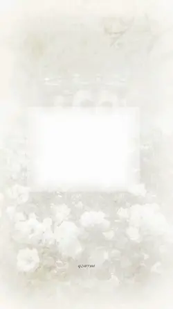مولود جديد