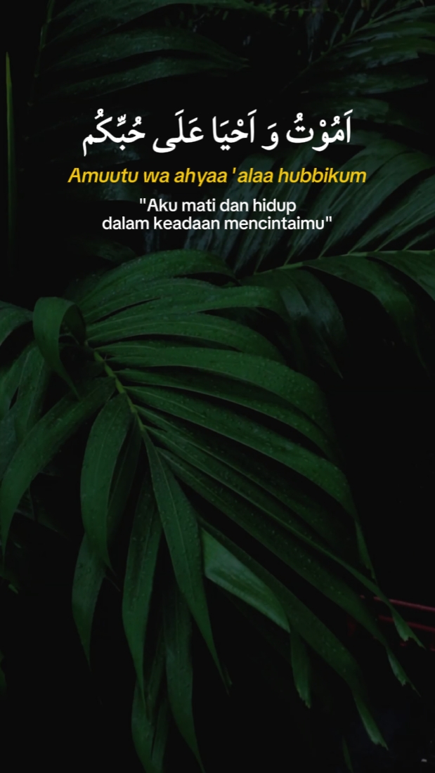 Salamun Salamun