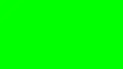 plantillacodm4