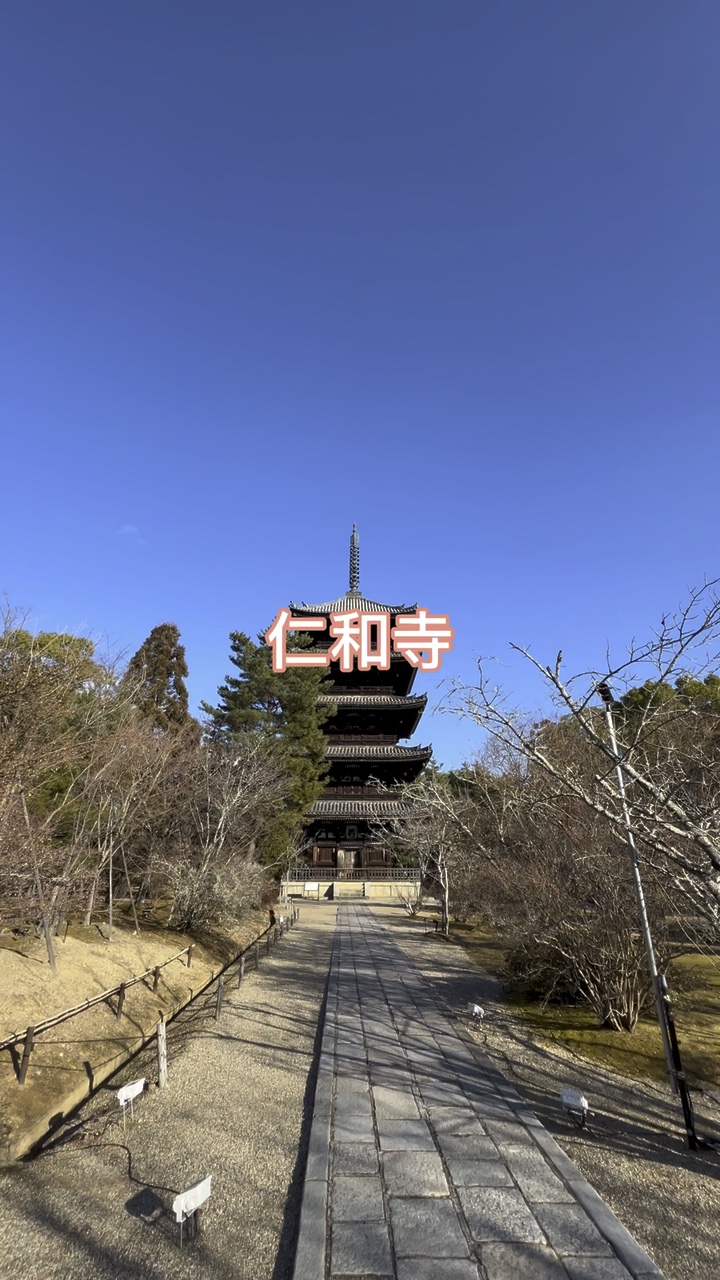 1分12videoテンプレート仁和寺