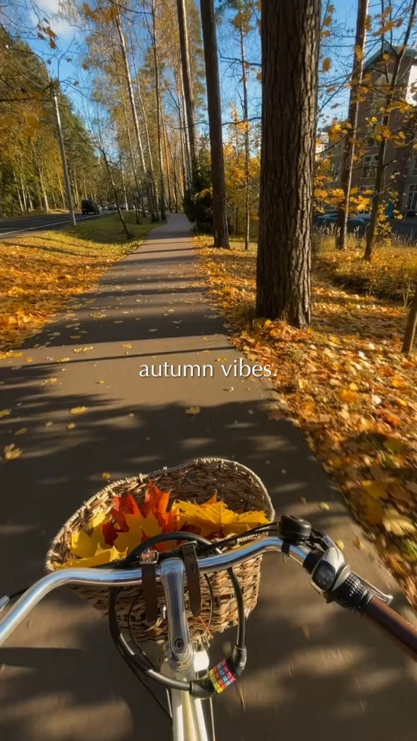 autumn vibes
