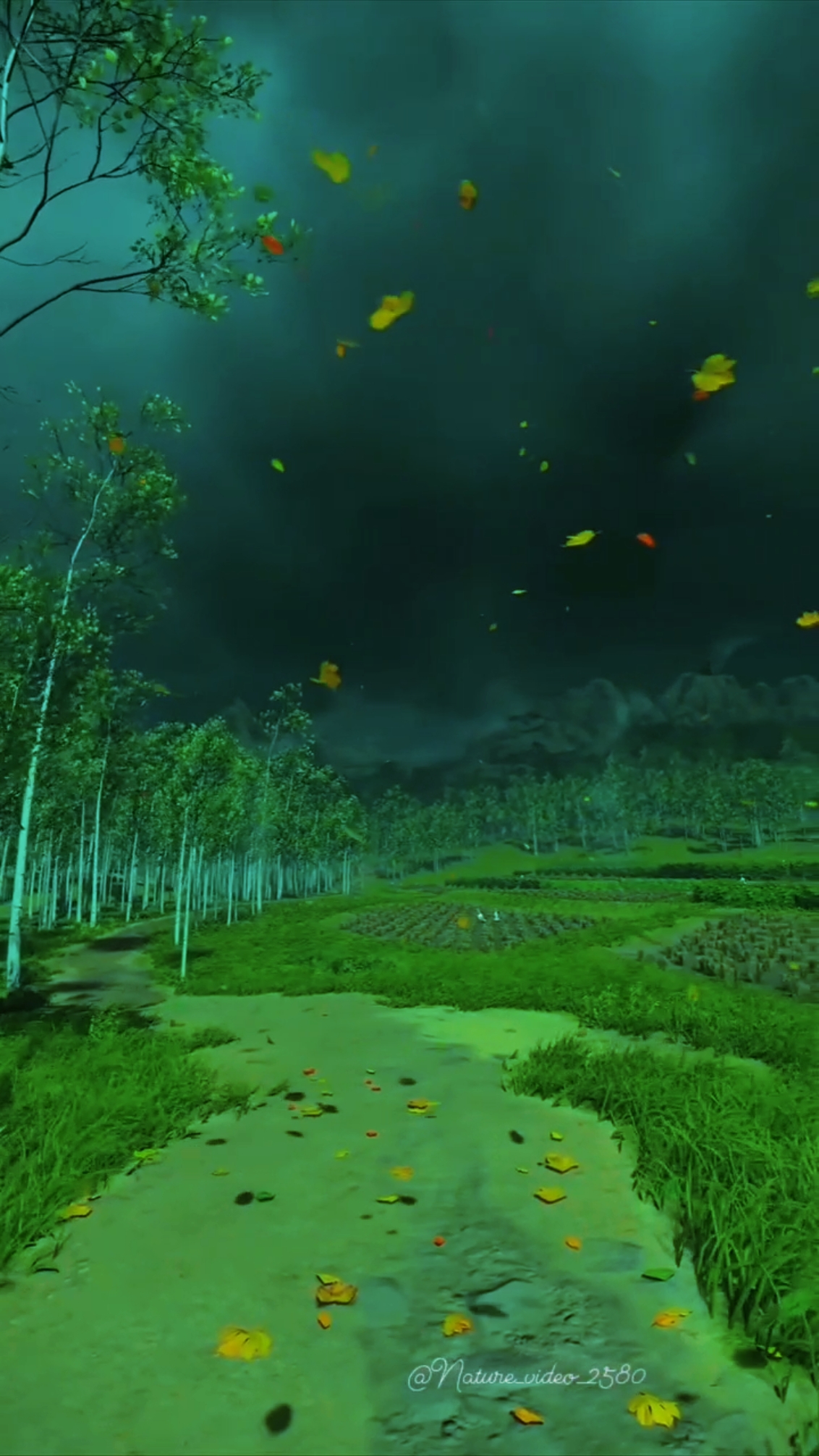 Ashiqui