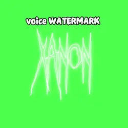 VOICE WATERMARK