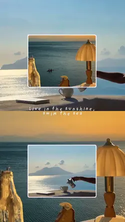 swim the sea
