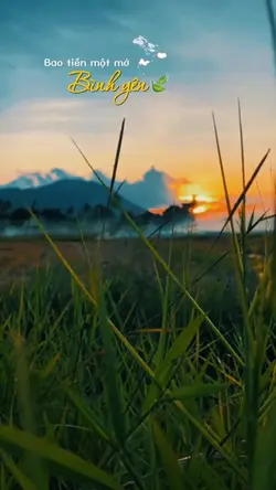 Bao Tiền Một Mớ