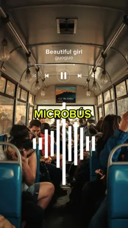 MICROBÚS 