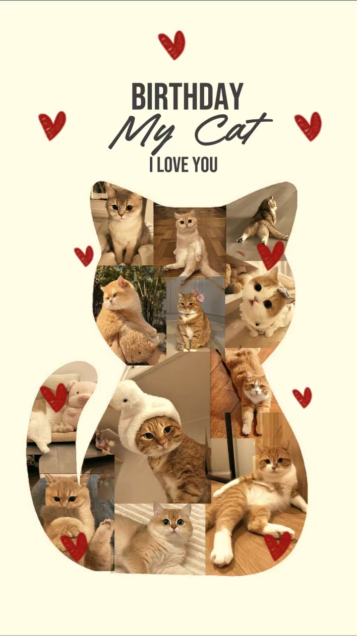 Ulang Tahun Kucing Saya 