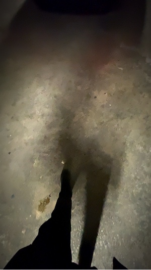 Et la nuit j 'lers pa