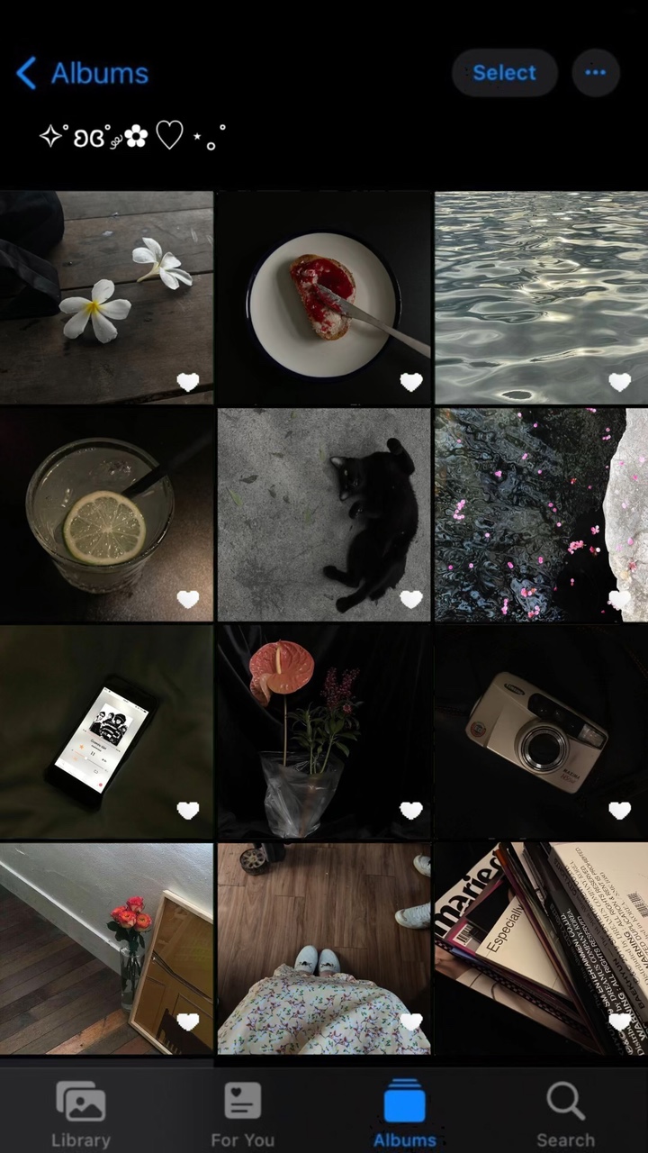 frame 12 pics 