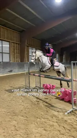 Poney volant/ frôle🧏♀️