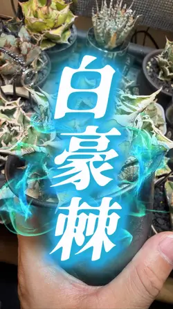 植物育成音ハメテンプレート
