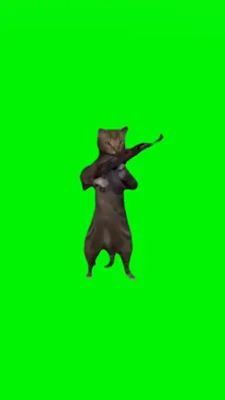 Cat Shooting Gun