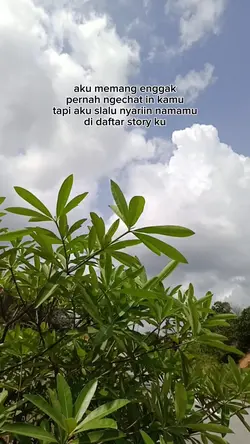 suka dalam diam